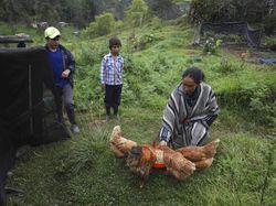 Petani di Kolombia Jadi YouTuber Dadakan Gegara Corona