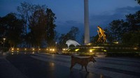 Seekor anjir terlantar melintas di dekat patung Mahatma Gandhi yang berada di kawasan Gauhati, yang tampak sunyi imbas penerapan lockdown di kawasan tersebut.
