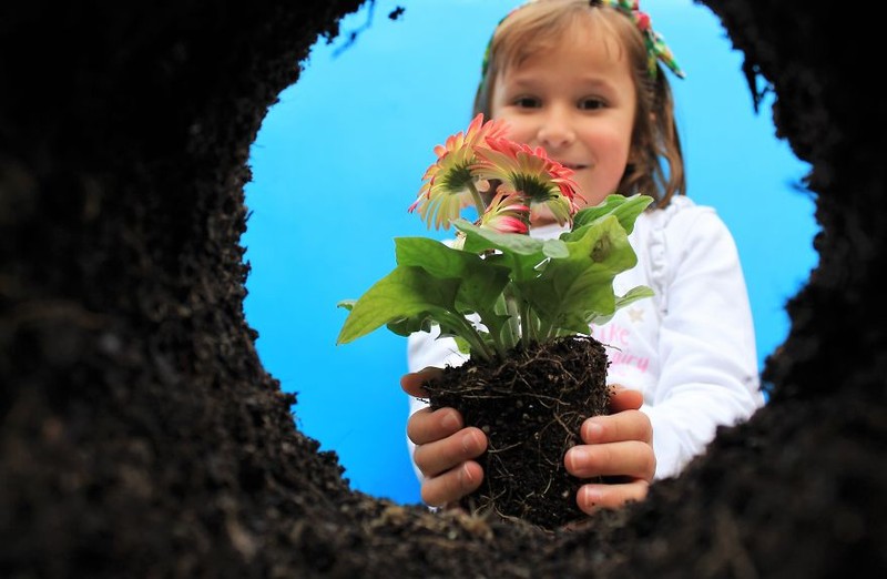 Musim semi kerap dinanti oleh sejumlah orang. Pasalnya di musim itu bunga-bunga bermekaran dengan beragam warna yang memesona. Berikut fotonya.