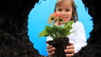 Seorang anak hendak menanam bunga di kawasan Mallorca, Spanyol. Istimewa/Dok. Boredpanda/Agora/@mcarmen.  