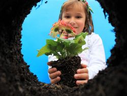 Deretan Foto Keindahan Musim Semi yang Memanjakan Mata