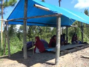 Beratnya Perjuangan Mahasiswa di Mamasa, Naik-Turun Gunung demi Kuliah Online