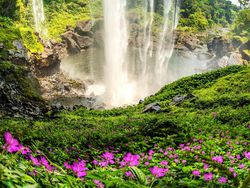 Deretan Foto Keindahan Musim Semi yang Memanjakan Mata