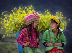 Deretan Foto Keindahan Musim Semi yang Memanjakan Mata