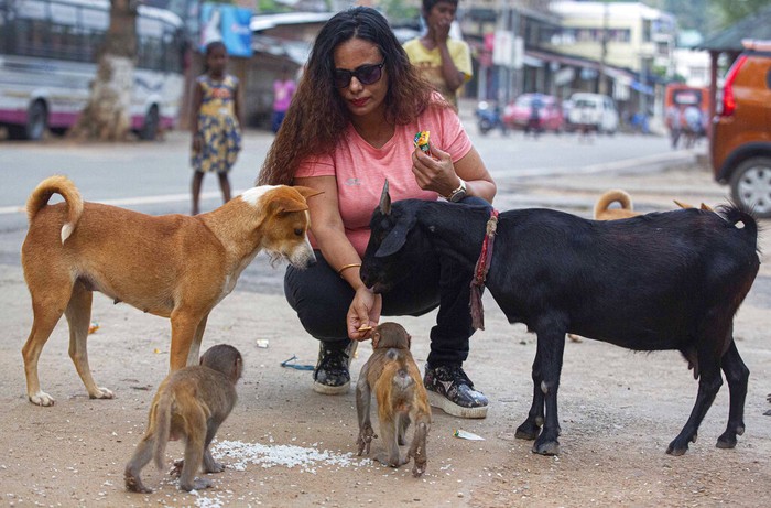 Keren! Wanita di India Ini Beri Makan Hewan Terlantar Saat Lockdown Seorang aktivis sosial di India memberikan makanan kepada hewan-hewan terlantar. Pasalnya hewan-hewan itu kesulitan mendapat makanan di masa lockdown Corona.