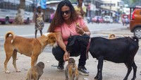 Seorang aktivis sosial bernama Ashma Begum memberi makan hewan-hewan terlantar di kawasan Gauhati, India, Sabtu (9/5) waktu setempat.  