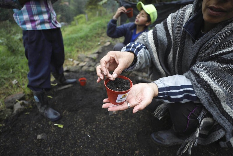 Wabah Corona berdampak ke berbagai sektor kehidupan masyarakat. Seperti petani wanita di Kolombia ini yang mengisi waktu karantina Corona dengan jadi Youtuber.