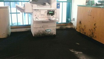 Tinta printernya bocor sampai kayak gini. Foto: via Bored Panda