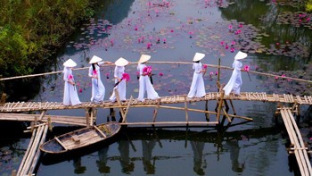 Sejumlah wanita di kawasan Hanoi, Vietnam tampak mengenakan pakaian tradisional Vietnam, Ao Dai, saat melintasi jembatan sembari membawa tangkai bunga berwarna merah muda. Istimewa/Dok. Boredpanda/Agora/@quytran.  