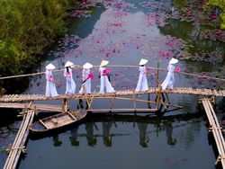 Deretan Foto Keindahan Musim Semi yang Memanjakan Mata