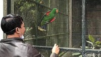 Terlihat hanya ada sejumlah pegawai taman satwa yang membersihkan kawasan itu dan memberi makan hewan-hewan yang berada di kebun binatang tersebut.