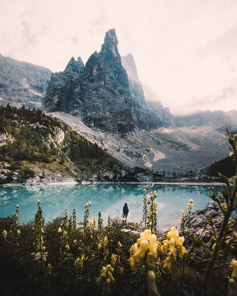 Musim semi kerap dinanti oleh sejumlah orang. Pasalnya di musim itu bunga-bunga bermekaran dengan beragam warna yang memesona. Berikut fotonya.