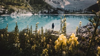 Potret bunga-bunga bermekaran di kawasan Lago di Sorapis, Italia. Istimewa/Dok.Boredpanda/Agora/@jp.photoart.