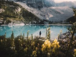 Deretan Foto Keindahan Musim Semi yang Memanjakan Mata