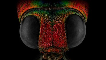 Karya Shalwa yang diunggah di situs Youpic telah dilihat lebih dari 10 juta kali. Foto: Mofeed Abu Shalwa via Bored Panda