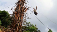 Ritual Nagol bukanlah kegiatan biasa. Nagol mirip bungee jumping, bedanya tak ada air, pendaratannya di daratan. (Ian Lloyd Neubauer/CNN)