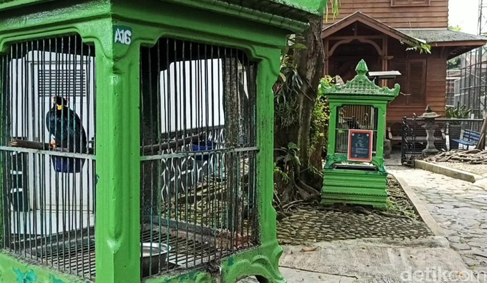Taman Satwa Cikembulan, Garut, sepi dari pengunjung. Kebun binatang itu ditutup imbas wabah Corona dan kini jatuh bangun bertahan untuk rawat hewan di dalamnya.