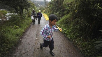 Kegiatan merekam video mengenai kiat-kiat bercocok tanam di rumah itu dilakukan Nubia bersama kedua anaknya untuk mengisi waktu di masa karantina pencegahan penyebaran virus Corona.  