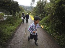 Petani di Kolombia Jadi YouTuber Dadakan Gegara Corona