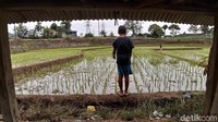 Sedangkan di air yang cenderung diam atau berarus tenang, merupakan tempat belut itu berdiam. Sehingga dibutuhkan kesabaran untuk dapat memancing belut tersebut.