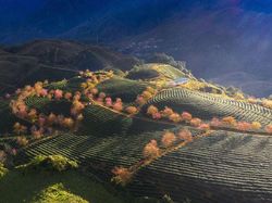 Deretan Foto Keindahan Musim Semi yang Memanjakan Mata