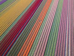 Deretan Foto Keindahan Musim Semi yang Memanjakan Mata