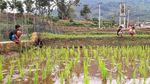 Asyiknya Anak-anak di Sumedang Ngabuburit dengan Memancing Belut