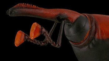 Foto-foto ini merupakan karya dari Mofeed Abu Shalwa, seorang fotografer asal Arab Saudi. Foto: Mofeed Abu Shalwa via Bored Panda