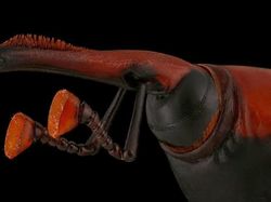 Bukan Alien, Ini Wajah Serangga yang Ditangkap dengan Kamera Makro