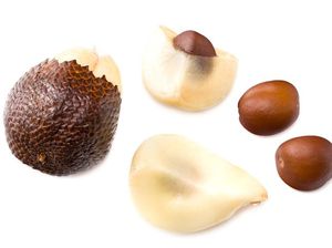 9 Manfaat Buah Salak yang Mungkin Belum Diketahui