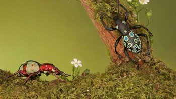 Caranya untuk menghilangkan rasa takutnya sepertinya berhasil. Foto: Mofeed Abu Shalwa via Bored Panda