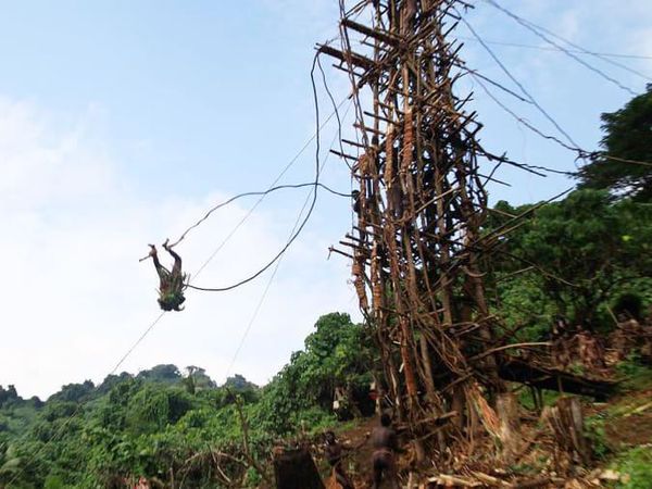 Foto: Tradisi Lompat Kematian Menuju Kedewasaan Pria Vanuatu