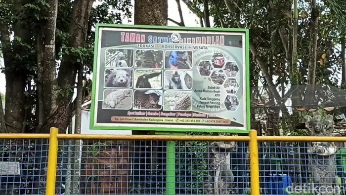 Taman Satwa Cikembulan, Garut, sepi dari pengunjung. Kebun binatang itu ditutup imbas wabah Corona dan kini jatuh bangun bertahan untuk rawat hewan di dalamnya.