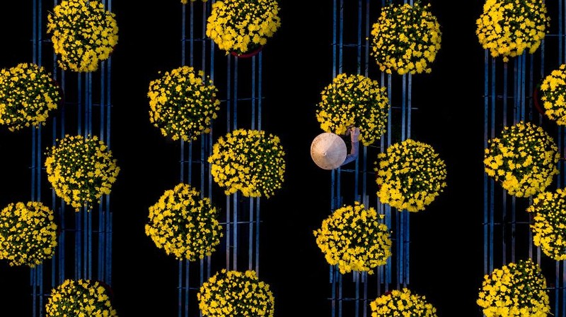 Musim semi kerap dinanti oleh sejumlah orang. Pasalnya di musim itu bunga-bunga bermekaran dengan beragam warna yang memesona. Berikut fotonya.