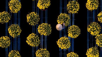 Foto yang diambil di kawasan Vietnam ini menggambarkan seorang warga yang tengah merawat bunga krisan. Bunga-bunga krisan itu mulai bermekaran saat musim semi tiba. Istimewa/Dok. Boredpanda/Agora/@thuanvo.