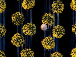 Deretan Foto Keindahan Musim Semi yang Memanjakan Mata