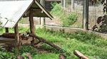 Bertandang ke Taman Satwa Garut yang Kini Sepi Gegara Pandemi
