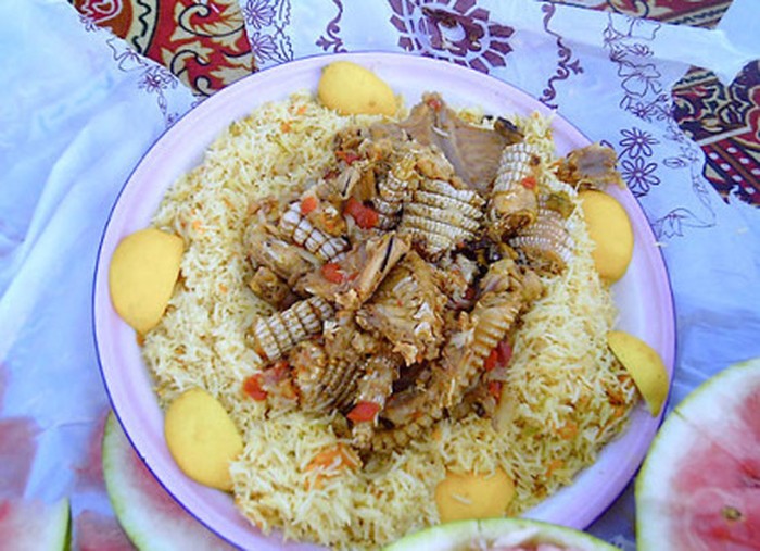 dhab kadal gurun