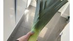 Bikin Kaget! Ini 10 Temuan Buah dan Sayur Jumbo Saat Belanja Online