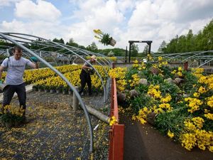 Lockdown Corona di Inggris Bikin Warga Suka Berkebun