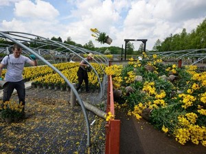 Lockdown Corona di Inggris Bikin Warga Suka Berkebun