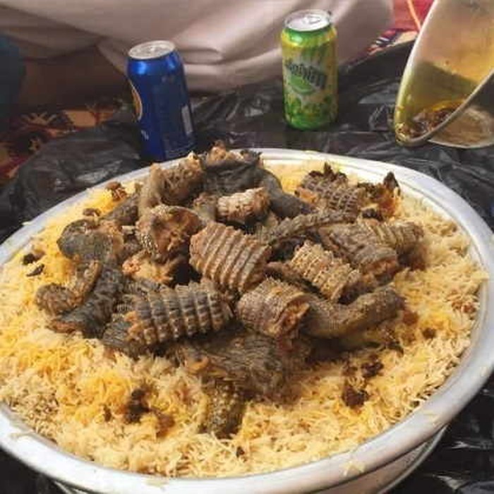 dhab kadal gurun