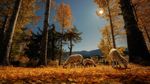 Deretan Foto Pemenang Sony Photography Awards 2020