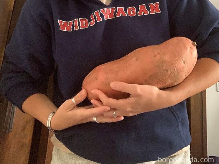 Bikin Kaget! Ini 10 Temuan Buah dan Sayur Jumbo Saat Belanja Online