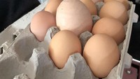 Deretan telur dalam karton ini sekilas tampak biasa, tapi kalau diperhatikan ada satu telur yang menonjol. Yap! Telur ukuran jumbo ada di tengah. Foto: Bored Panda
