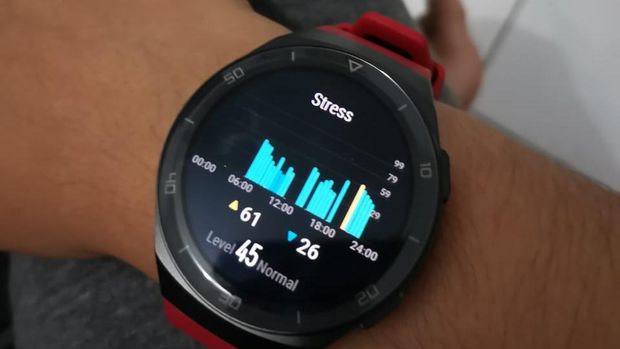 Melihat tingkat stres menggunakan Huawei Gt 2e.