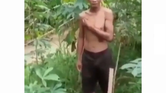 Curi Singkong -