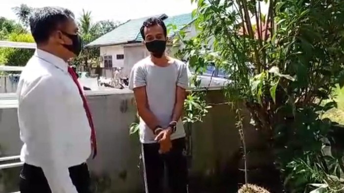 Seorang pria di Kota Kendari,Sultra, MZ ditangkap polisi setelah diketahui menanam ganja (Sitti-detikcom).