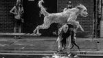 Deretan Foto Pemenang Sony Photography Awards 2020