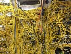 Foto Masalah Kantor yang Bikin Tim IT Geleng-geleng